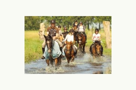 Groepsaccommodatie Manege Gasselte aan de Drentse Staatsbossen VMP044